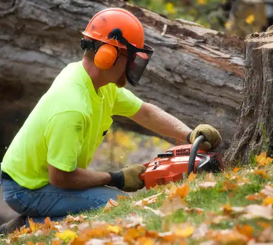 tree services Valley Stream